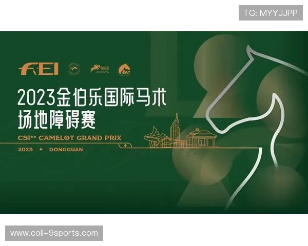 世界马术赛事夜间照明与安全标准公布，世界级马术比赛